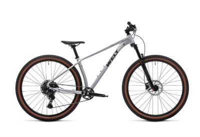 Велосипед Welt Icon 3.0 29 Brutal Silver