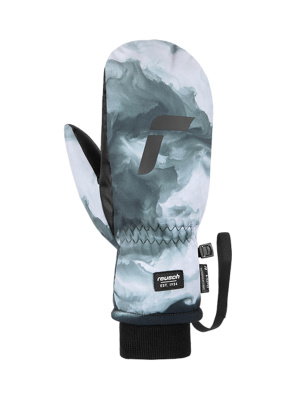 Варежки Reusch Carter R-Tex Xt Smoke Варежки Reusch Carter R-Tex Xt Smoke