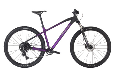 Велосипед Alpinebike 2025 Terra 9 фиолетовый космос Велосипед Alpinebike 2025 Terra 9 фиолетовый космос