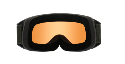 Очки Alpina Nakiska Q Black-Olive Matt/Q Green 