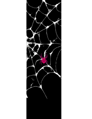 Шкурка Shkura prod Pink Spider