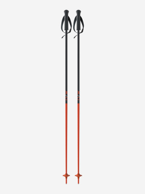 Палки горнолыжные One Way (Fischer) GT 16 Flame