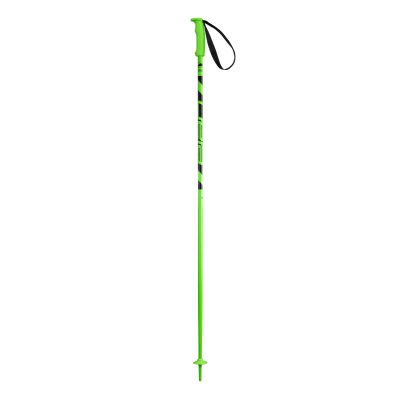 Палки горнолыжные Elan Hotrod Green